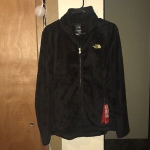 Women’s Osito 2 Jacket in Gold